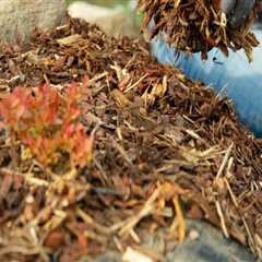 Essential Tips for Winter Mulching in Your Garden