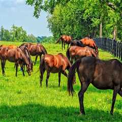 Effective Strategies for Monitoring and Tracking Pasture Health Over Time