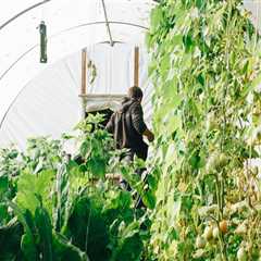 Sustainable Gardening in Portland with Drake's 7 Dees