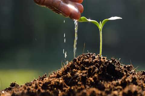 The Impact of Water Management on Soil Fertility Improvement