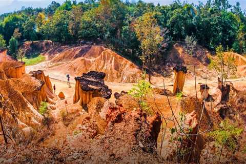 Understanding the Impact of Erosion on Soil Fertility and Improvement Strategies