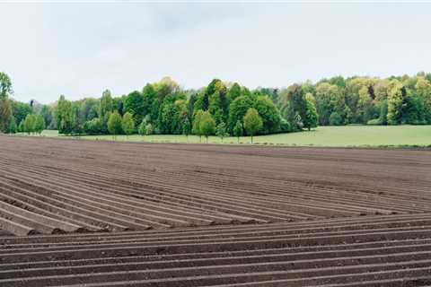 The Impact of Tillage Practices on Soil Fertility Improvement