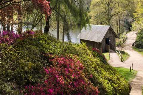 Planning Weekend Getaways Around Botanical Gardens and Outdoor Recreation