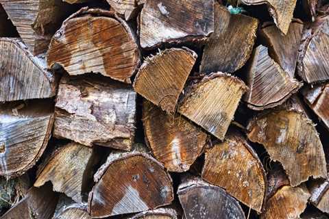 Essential Steps for Preparing Your Garden for Winter