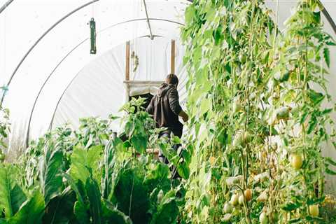 Sustainable Gardening in Portland with Drake's 7 Dees