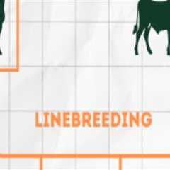Understanding Inbreeding in Animal Breeding: Benefits and Risks