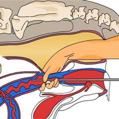 Understanding the Drawbacks of Artificial Insemination in Animal Breeding