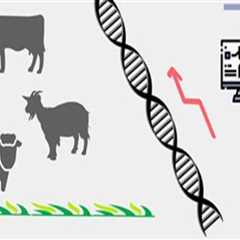 Understanding Genetic Engineering in Animal Breeding