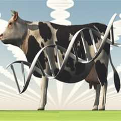 Understanding Performance Testing in Animal Breeding: A Path to Better Genetics