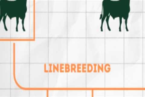 Understanding Inbreeding in Animal Breeding: Benefits and Risks