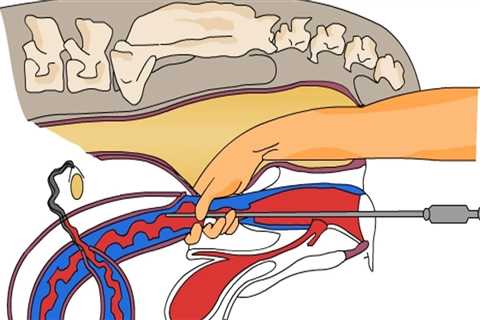 Understanding the Drawbacks of Artificial Insemination in Animal Breeding