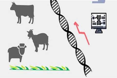 Understanding Genetic Engineering in Animal Breeding