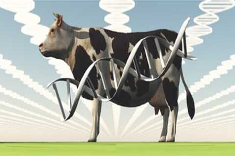Understanding Performance Testing in Animal Breeding: A Path to Better Genetics