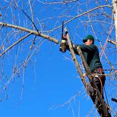 Expert Tips on Pasture Management and Emergency Tree Care