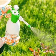 Why Pest Prevention Starts With Better Garden Maintenance Practices