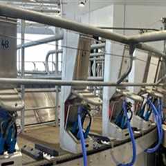 Essential Safety Precautions for Dairy Farming Operations