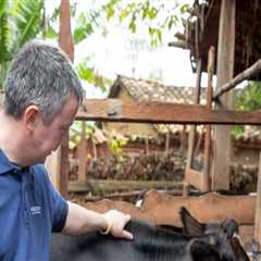 How Dairy Farmers Enrich Their Communities: A Look at Local Contributions
