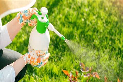 Why Pest Prevention Starts With Better Garden Maintenance Practices